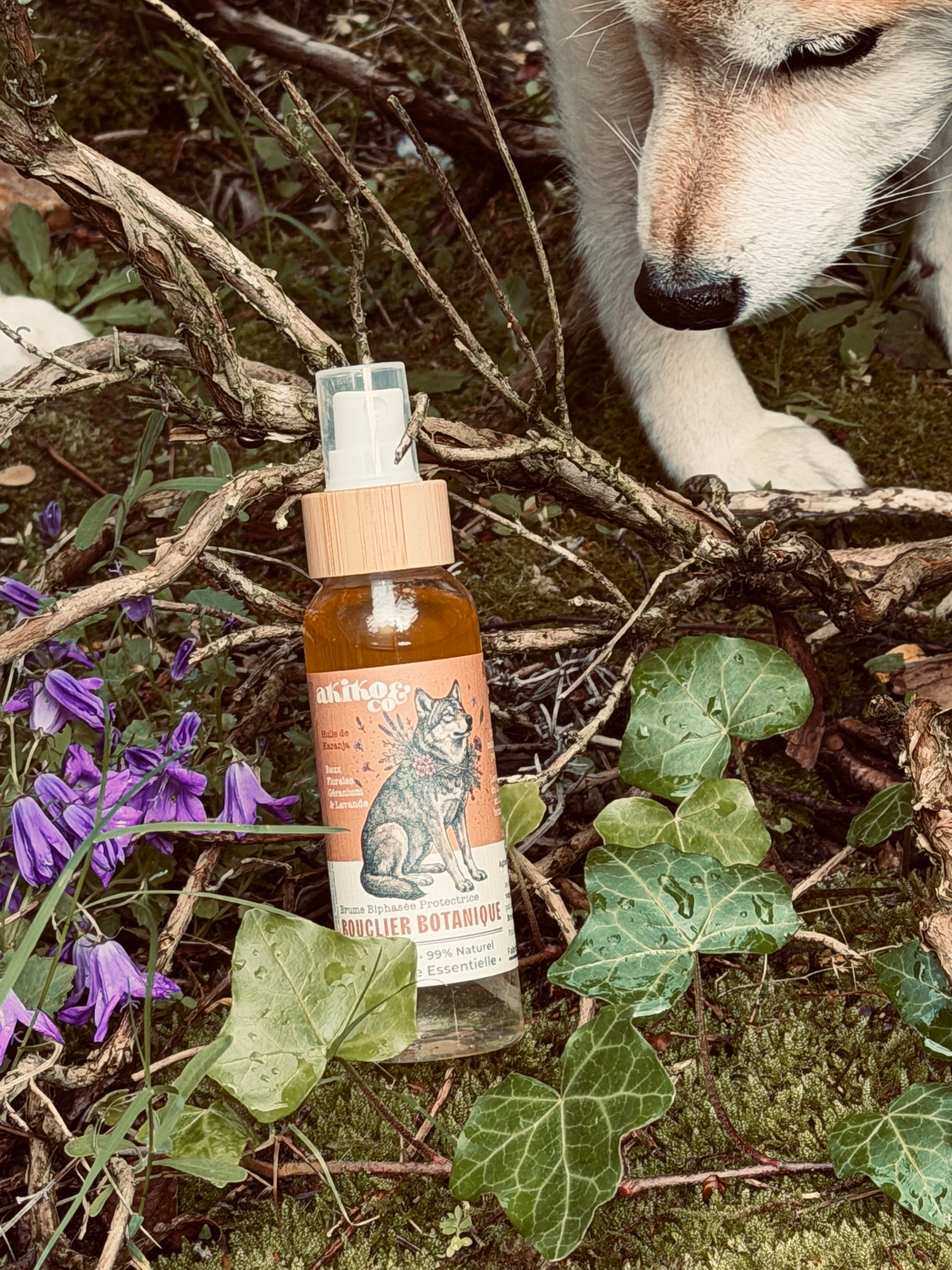 Brume Biphasée Protectrice - Le Bouclier Botanique