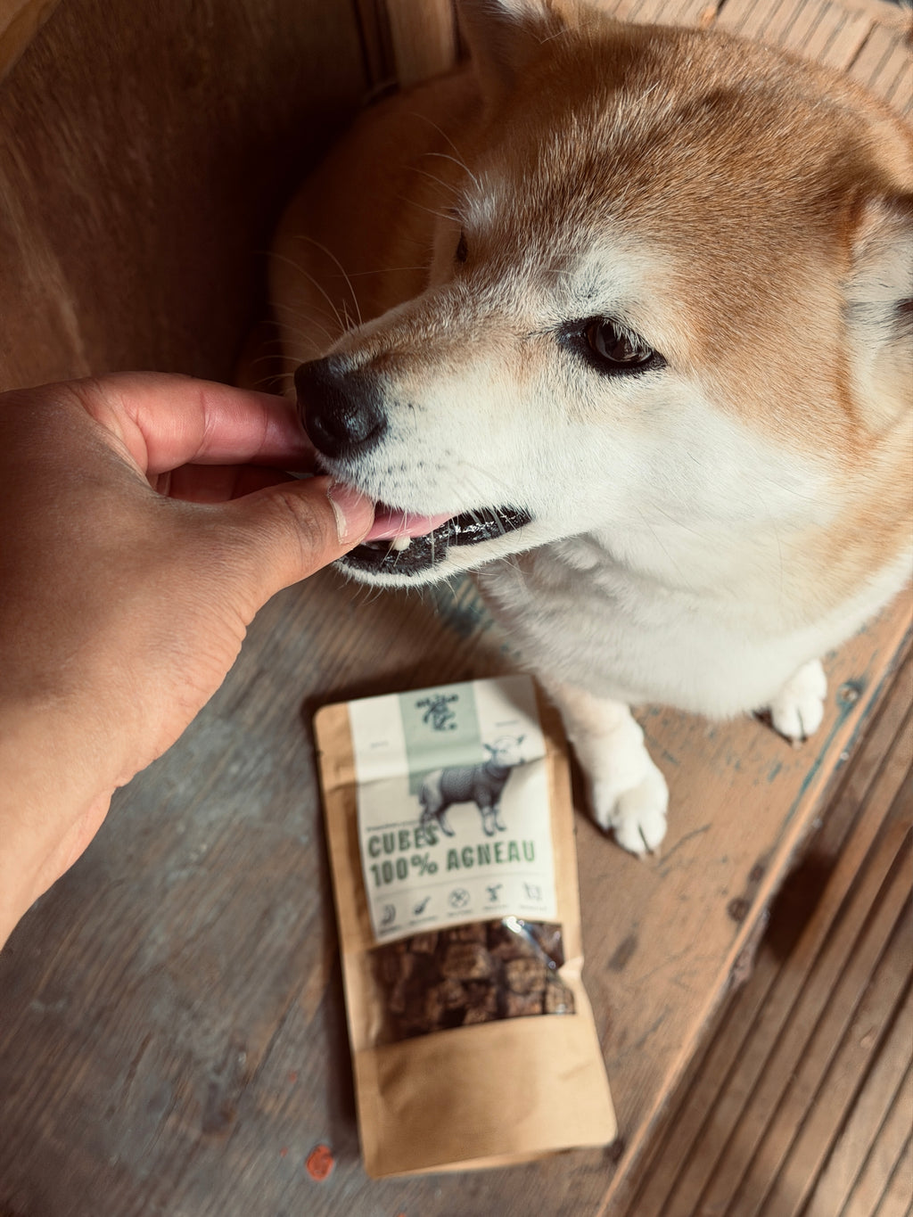 Les Cubes de Récompense 100% viande