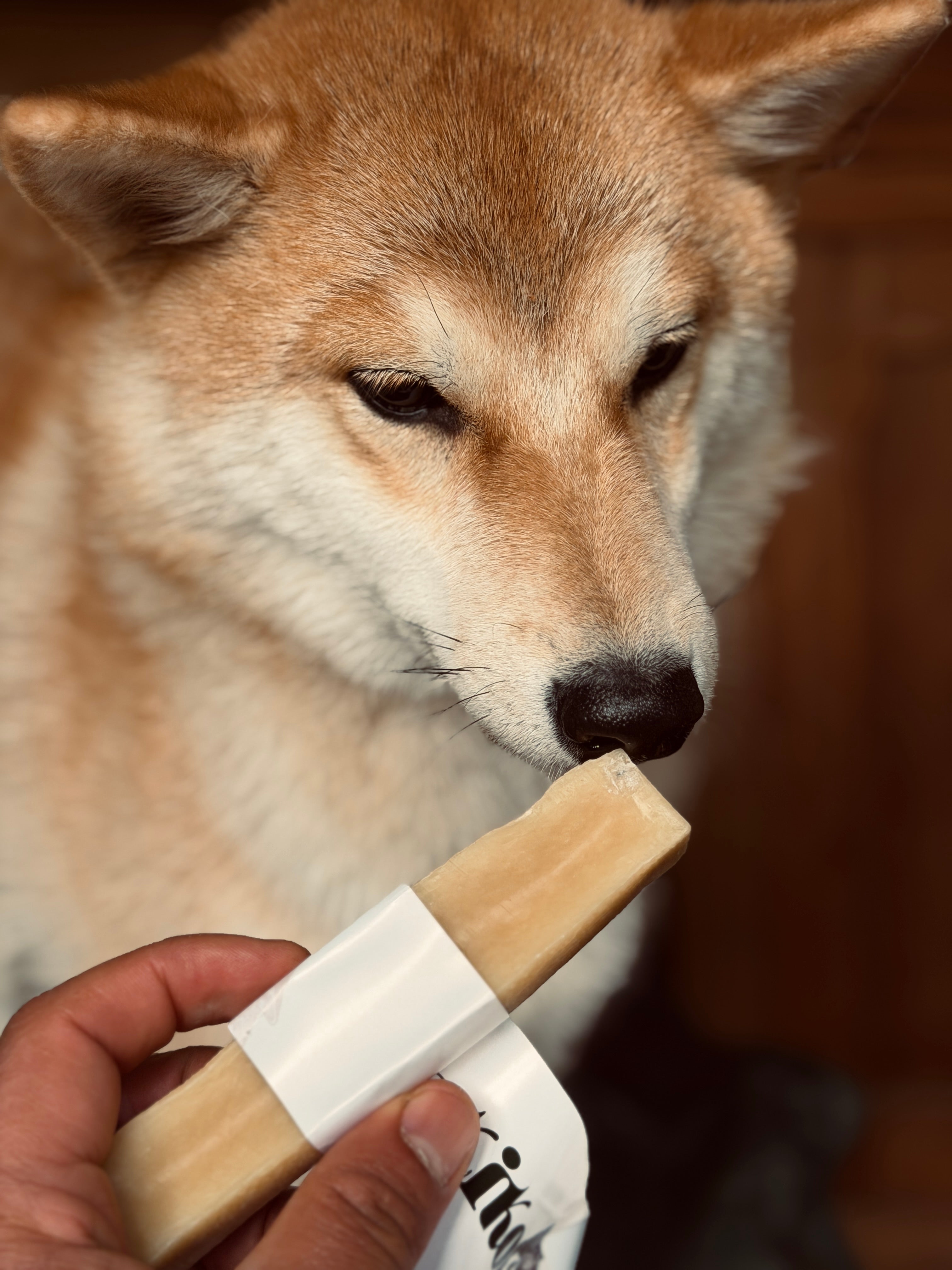 Le Fromage de Yak