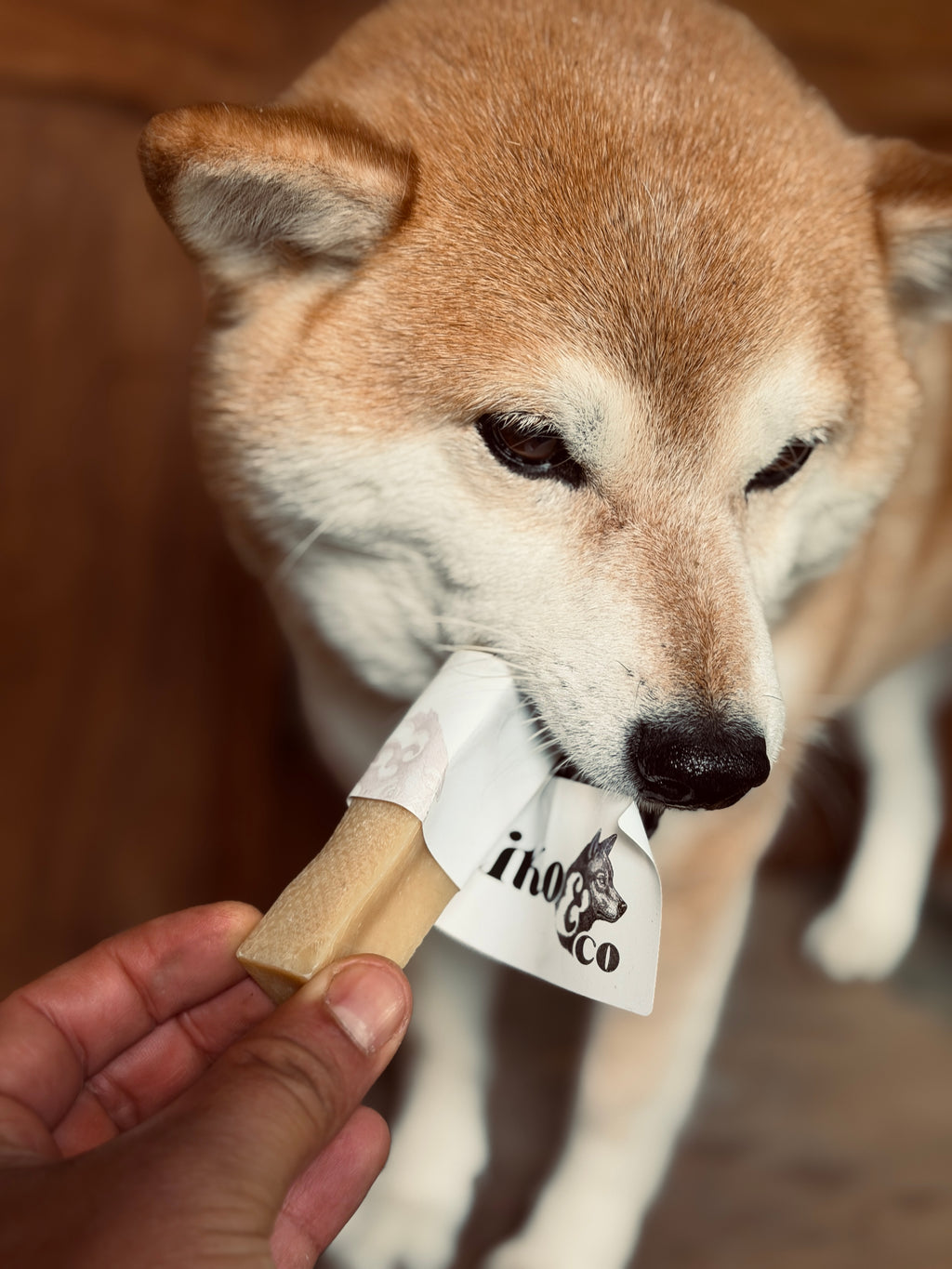 Le Fromage de Chèvre