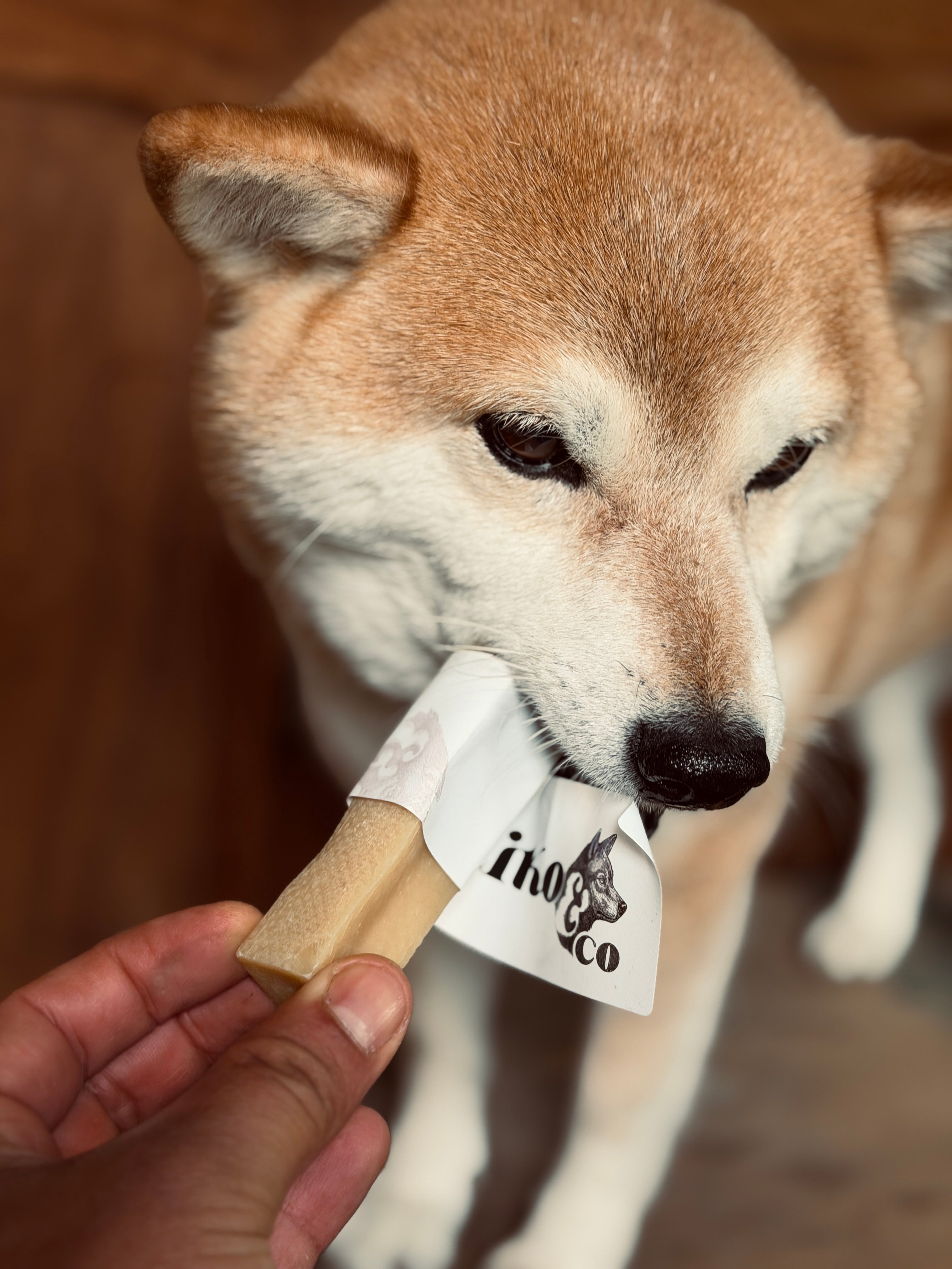 Le Fromage de Chèvre